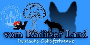 www.kaditzerland.de